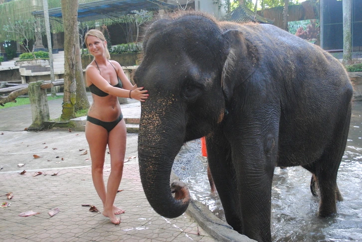 Elephant Bathing