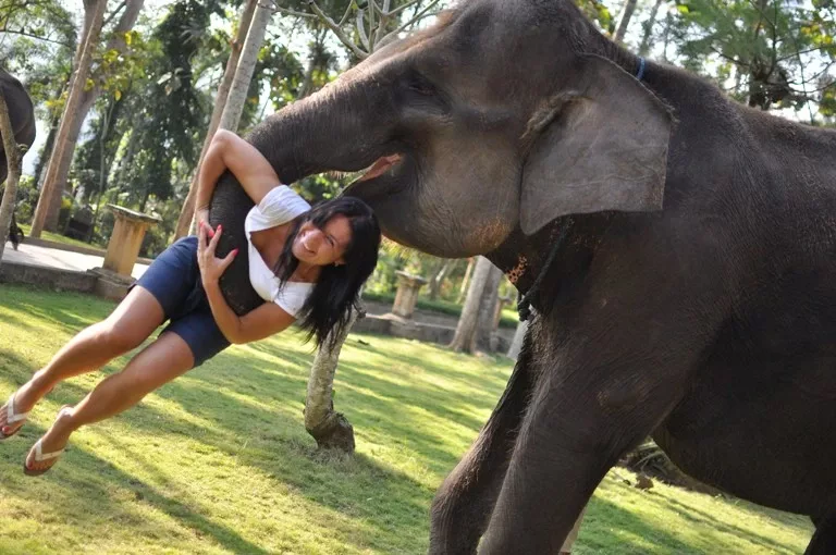 Bali Elephant Tour